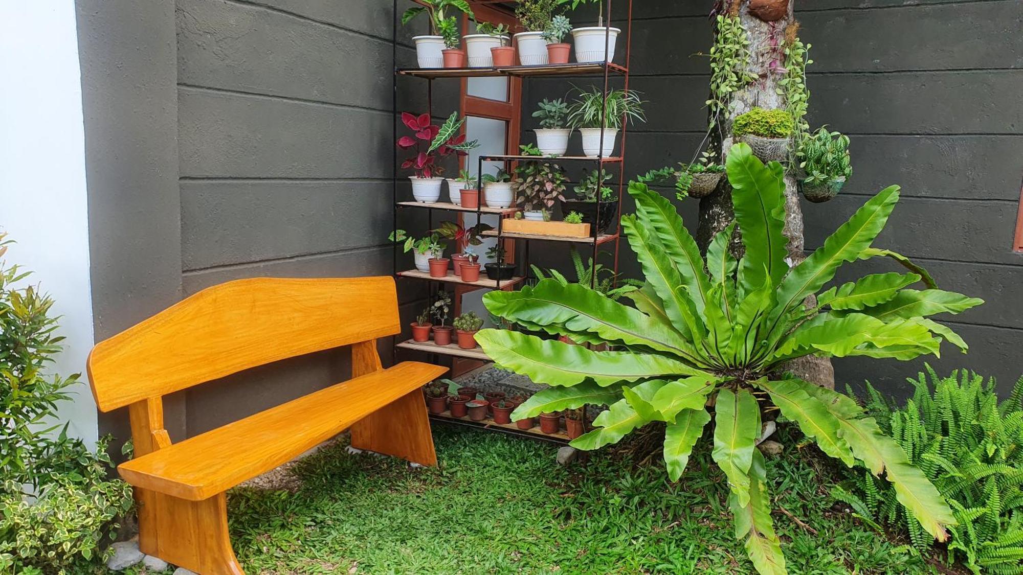 Bed and Breakfast The Farm Shack By Sms Hospitality Amadeo Exterior foto